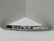 Kennzeichenbeleuchtung Verkleidung