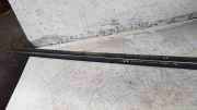 Dachleiste links AUDI A4 Avant (8ED, B7) 2.0 TDI 16V