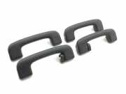 Dachgriffset (innen) FORD KUGA III (DFK) 2.5 Duratec Plug-in-Hybrid