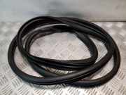 Türdichtung Mazda 6 (GG)