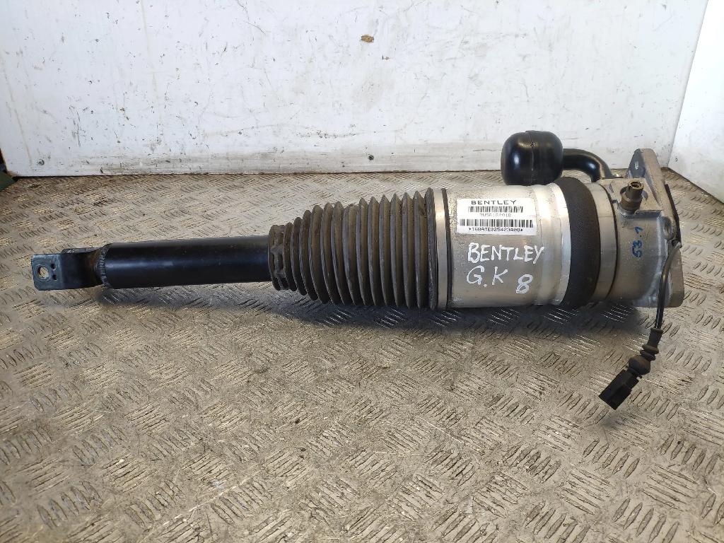 Pneumo-Stoßdämpfer hinten links BENTLEY CONTINENTAL FLYING SPUR (3W_) 6.0 3W5616001B