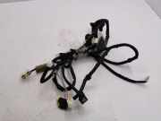 Kabel Tür Nissan X-Trail II (T31) 24125JH11A