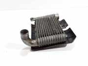Ladeluftkühler Toyota Yaris Verso (P2) 33010359