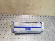 Airbag Knie Nissan Pathfinder III (R51) 6038820