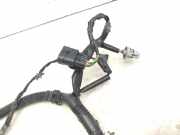 Kabel Tür Nissan Pathfinder III (R51) 24125EB300