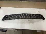 Gitter vorne unten MERCEDES-BENZ E (W212) E 220 CDI / BlueTEC (212.001, 212.002) A2128850523
