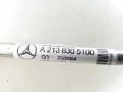 Klimaleitung OM 654.920