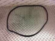 Türgummi links vorne Smart Forfour (454)