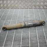 Stoßdämpfer hinten links