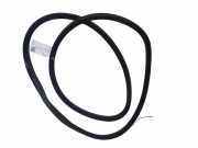 Türgummi links vorne Toyota Avensis (T25)