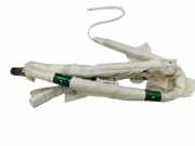 Dach SRS rechts FORD C-MAX II (DXA/CB7, DXA/CEU) 1.6 TDCi 1E0762900