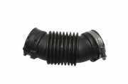 Luftansaugschlauch NISSAN JUKE (F16) DIG-T 117 165750995R