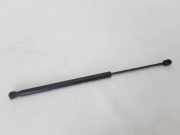 Heckklappe Gasdruckfeder rechts RENAULT SCÉNIC II (JM0/1_) 1.5 dCi (JM1E) 8200616559