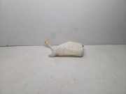 Fensterwaschtank RENAULT MEGANE III Hatchback (BZ0_) 1.5 dCi 289100014R