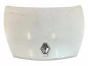 Motorhaube RENAULT LAGUNA III (BT0/1) 1.5 dCi (BT00, BT0A, BT0T, BT1J)