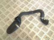 Schlauch Kühlung AUDI A5 (F53) 2.0 TDI quattro 8K0819334AF