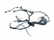 Türverkabelung hinten rechts MERCEDES-BENZ S (W220) S 320 CDI (220.025, 220.125) A2224409408