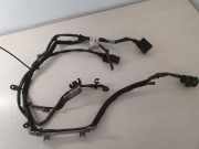 Motor Kabelbaum MERCEDES-BENZ S (W222, V222, X222) S 350 BlueTEC / d (222.132, 222.032, 222.123) A1664401136