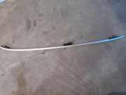 Dachgriff hinten links MERCEDES-BENZ GL (X166) GL 500 4-matic (166.873) A1668900993