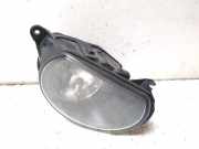 Nebelscheinwerfer rechts vorne Audi Q7 (4L) 24696800