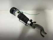 Front left pneumo shock absorber BMW X7 (G07) xDrive 40 i 5B69E19 6876683