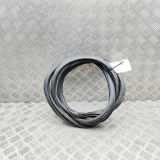 Türdichtungsgummi hinten links AUDI A3 Limousine (8YS) S3 quattro 8Y5833721B