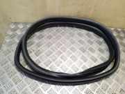 Türdichtung Volvo V50 (545)