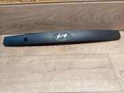 Kennzeichenbeleuchtung HYUNDAI i30 Coupe 1.6 GDI 873612D500