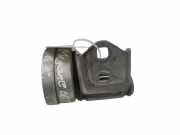 Türscharnier hinten links Renault Grand Scenic II (JM)