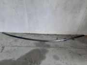 Dachleiste links BMW 7 (G11, G12) 740 d, Ld xDrive