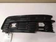 Gitter vorne unten SKODA KODIAQ (NS7) 2.0 TDI 565807368 8116494