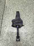 Türanschlag hinten links BMW 3 Compact (E46) 320 td 81609631