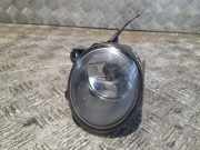 Nebelscheinwerfer links vorne BMW X5 (E53) 63176920886