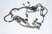 Motor Kabelbaum BMW 3 (F30, F80) 328 i 7620673