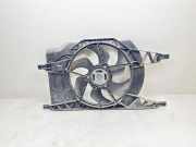 Kühlmodul Renault Laguna II Grandtour (G) 30082002