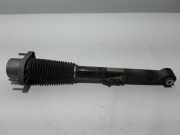 Stoßdämpfer rechts hinten Land Rover Range Rover IV (L405) DPLA18W002AF