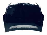 Motorhaube MERCEDES-BENZ R (W251, V251) R 280 CDI 4-matic (251.020) A2518800157