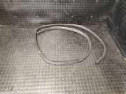 Türdichtung Peugeot 4008 ()