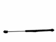 Heckklappe Gasdruckfeder rechts NISSAN PATHFINDER III (R51) 2.5 dCi 4WD 90461EA500