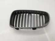 Kühlergrill links BMW 1er Coupe (E82) 51137166439