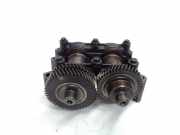 Ausgleichswelle RENAULT KOLEOS I (HY_) 2.0 dCi (HY0K)