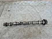 Nockenwelle VW CADDY III Furgon (2KA, 2KH, 2CA, 2CH) 1.6 TDI 03L101