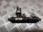 Kraftstoffzuführung PEUGEOT 407 Coupe (6C_) 2.7 HDi A2C20001297 5WS40128