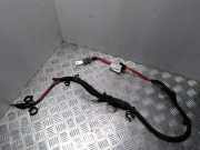 Kabelbaum VOLVO S80 II (AS) D5 30774429