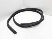 Dichtungsgummi der hinteren Tür (an der Karosserie) BMW 3 (E90) 325 i