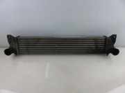 Ladeluftkühler FIAT SEDICI (FY_) 1.9 D Multijet 4x4 1362079J50