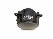 Nebelscheinwerfer rechts vorne Renault Megane I (BA) 8200074008