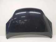 Motorhaube HONDA CR-V III (RE_) 2.2 i-DTEC 4WD (RE6)
