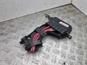 PLUS-KABELBAUM RENAULT SCÉNIC III (JZ0/1_) 1.5 dCi 03088801