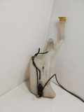 Fensterwaschtank RENAULT ESPACE V (JR_) 1.6 dCi 160 289104403R